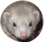 CLICK HERE TO VIEW FERRET TOYS